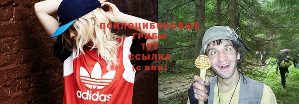а пвп мука Балабаново