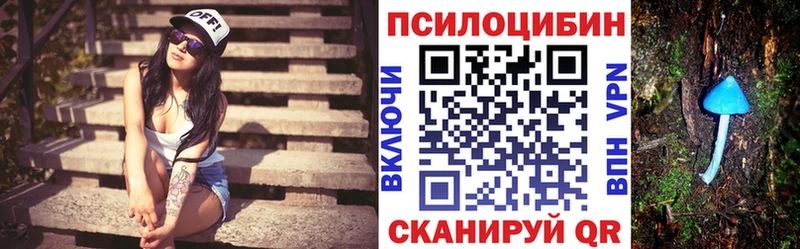 Галлюциногенные грибы Psilocybe  Купить  Мончегорск 